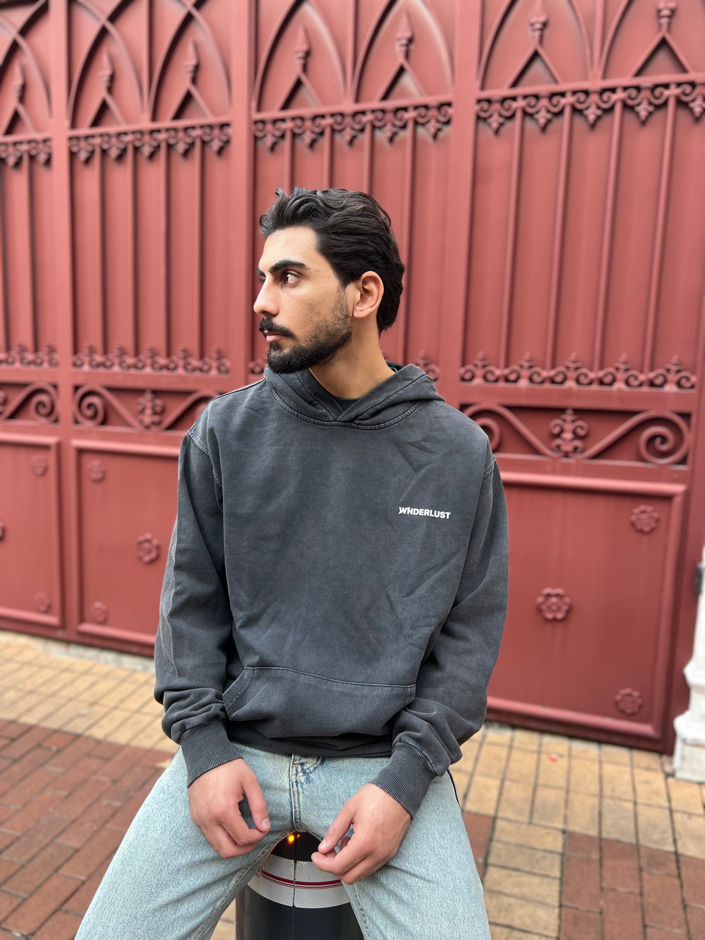 Wanderlust Hoodie